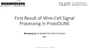 Processing in ProtoDUNE Wenqiang Gu on behalf of the Wire-Cell team  BNL  ProtoDUNE Sim/Reco