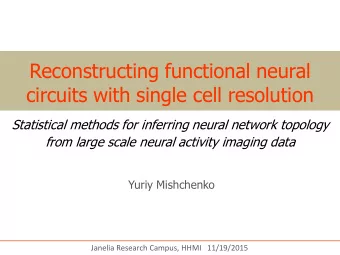Reconstructing functional neural circuits with single cell resolution  Statistical methods for