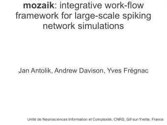 mozaik : integrative work-flow  framework for large-scale spiking  network simulations  Jan