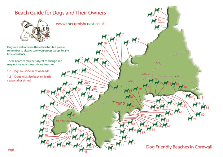 beach guide for dogs and their owners
