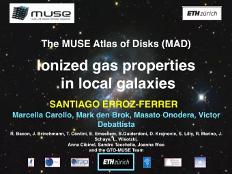 Ionized gas properties  in local galaxies  SANTIAGO ERROZ-FERRER  Marcella Carollo, Mark den Brok,