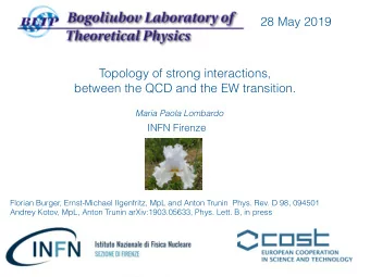 28 May 2019  Topology of strong interactions,  between the QCD and the EW transition.  Maria Paola