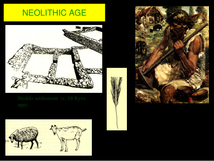 neolithic age