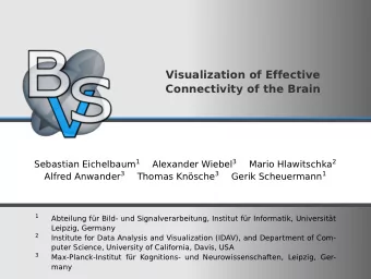 Visualization of Effective  Connectivity of the Brain Sebastian Eichelbaum 1 Alexander Wiebel 3