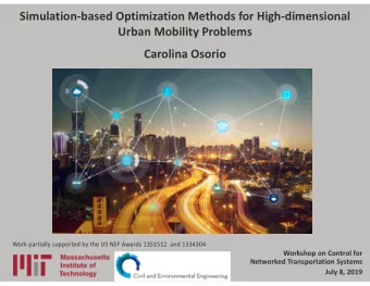 Simulation  based Optimization Methods for High  dimensional Urban Mobility Problems Carolina