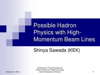 Possible Hadron  Physics with High-  Momentum Beam Lines  Shinya Sawada (KEK)  Workshop on 'Future