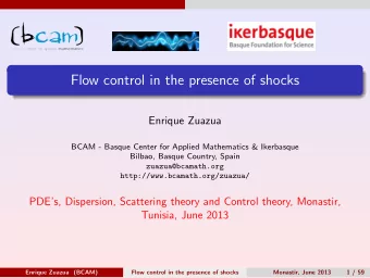 Flow control in the presence of shocks  Enrique Zuazua  BCAM - Basque Center for Applied