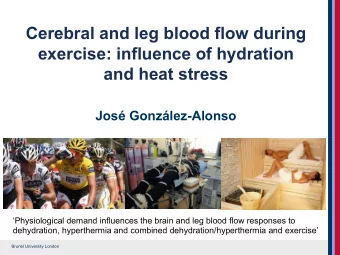 Cerebral and leg blood flow during  exercise: influence of hydration  and heat stress Jos