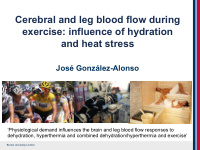 cerebral and leg blood flow during exercise influence of