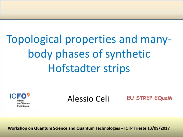 body phases of synthetic