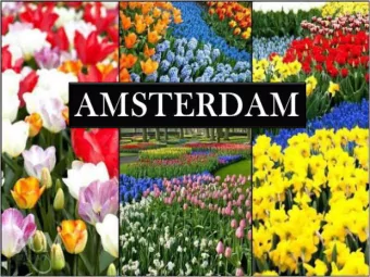 Centraal-station  Munttoren  Rijksmuseum Chteau du  KEUKENHOF   Stad  AMSTERDAM Upravil: