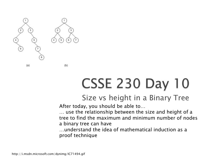 size vs height in a binary tree