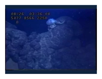 41 st SaasFee course from Planets to Life 39 April 2011 Lecture 3: The top down