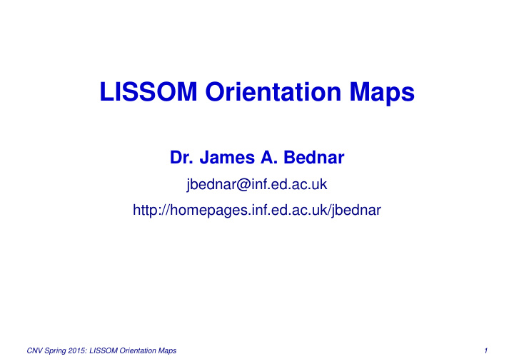 lissom orientation maps