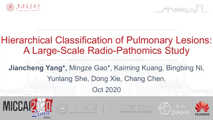 hierarchical classification of pulmonary lesions a large