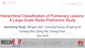 Hierarchical Classification of Pulmonary Lesions:  A Large-Scale Radio-Pathomics Study Jiancheng
