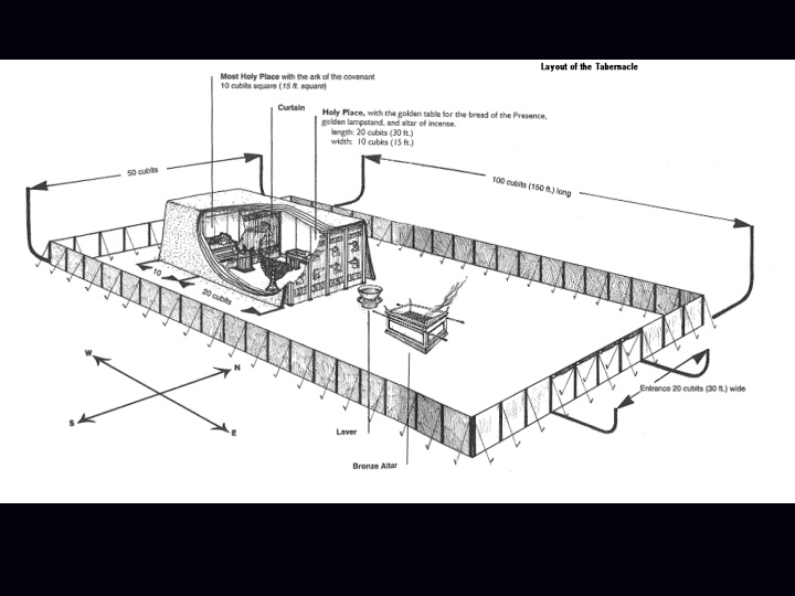 levitical sacrifices and offerings