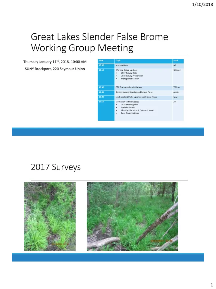 great lakes slender false brome working group meeting