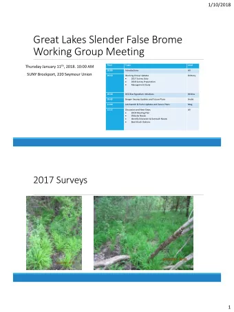 Great Lakes Slender False Brome  Working Group Meeting Thursday January 11 th , 2018. 10:00 AM