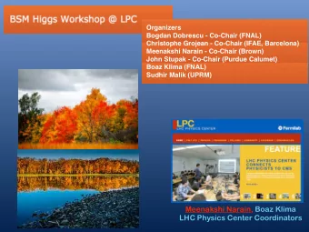 Organizers  Bogdan Dobrescu - Co-Chair (FNAL)  Christophe Grojean - Co-Chair (IFAE,