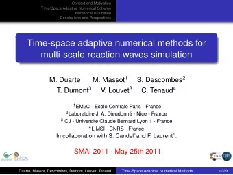 Time-space adaptive numerical methods for  multi-scale reaction waves simulation M. Duarte 1 M.