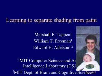 Learning to separate shading from paint Marshall F. Tappen 1 William T. Freeman 1 Edward H. Adelson