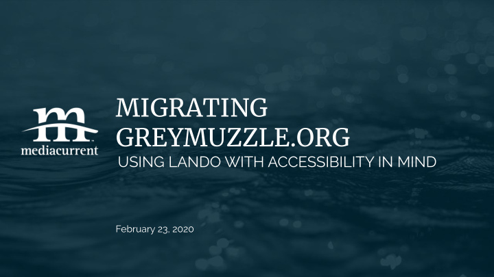 migrating greymuzzle org