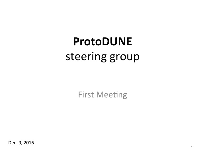 protodune steering group