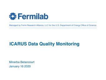 ICARUS Data Quality Monitoring  Minerba Betancourt  January 16 2020  Online Monitoring
