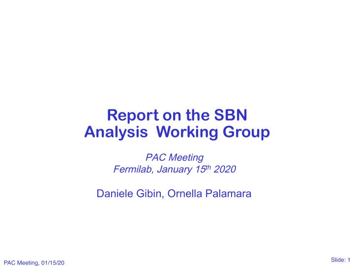 report on the sbn analysis working group