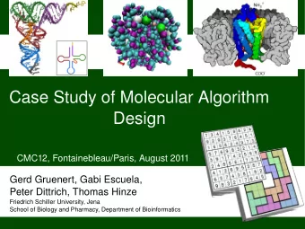Case Study of Molecular Algorithm  Design  CMC12, Fontainebleau/Paris, August 2011  Gerd Gruenert,