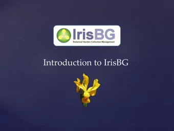 Introduction to IrisBG  Introduction  Terminology / Fundamentals.  Navigation, screen layout