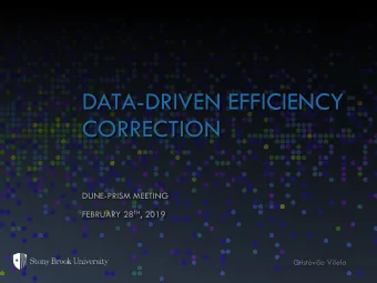 CORRECTION  DUNE-PRISM MEETING FEBRUARY 28 TH , 2019  Cristvo Vilela  INTRODUCTION  Want to