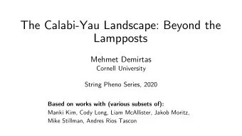 The Calabi-Yau Landscape: Beyond the  Lampposts  Mehmet Demirtas  Cornell University  String Pheno