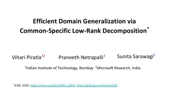 Efficient Domain Generalization via Common-Specific Low-Rank Decomposition * Sunita Sarawagi 1