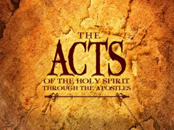 Paul is shipwrecked on the island of Malta  Paul is bitten by a viper  ministry on Malta twin