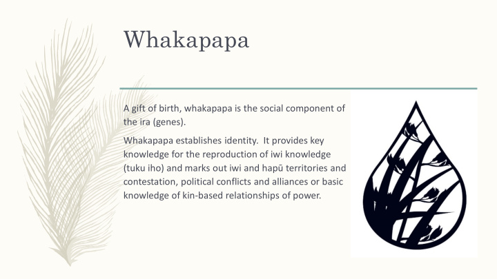 whakapapa