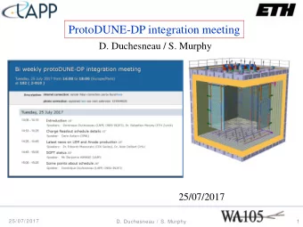 ProtoDUNE-DP integration meeting  D. Duchesneau / S. Murphy  25/07/2017  25/ 07/ 2017  1  D.