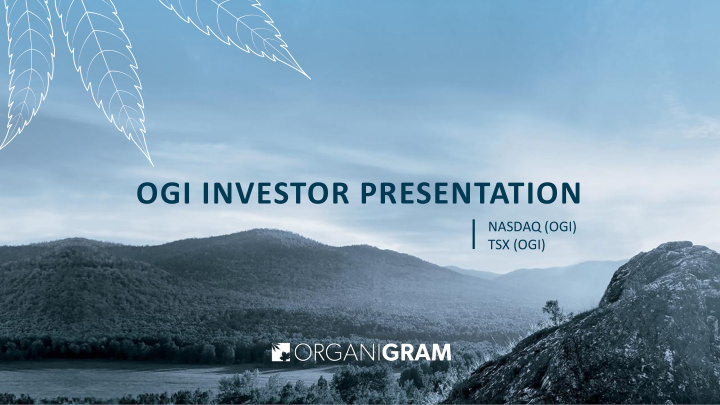 ogi investor presentation