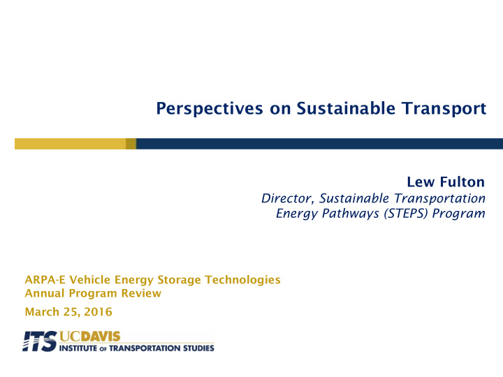 perspectives on sustainable transport