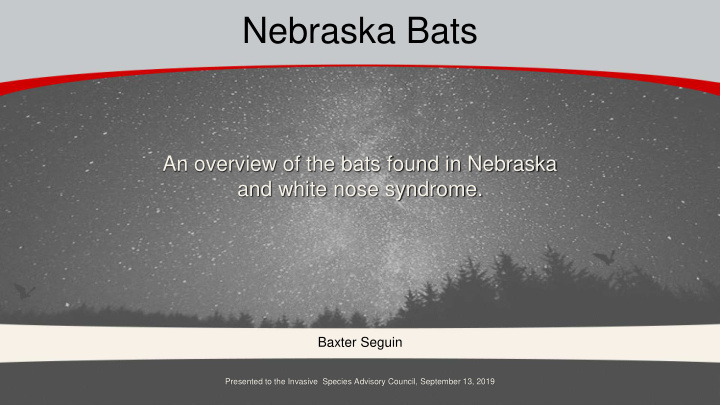 nebraska bats