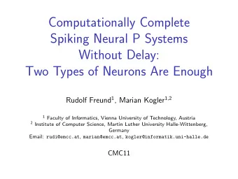Computationally Complete  Spiking Neural P Systems  Without Delay:  Two Types of Neurons Are Enough