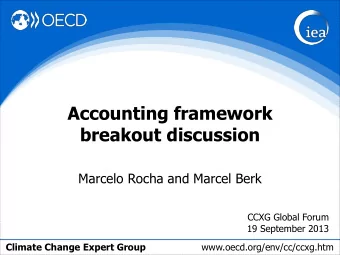Accounting framework  breakout discussion  Marcelo Rocha and Marcel Berk  CCXG Global Forum  19
