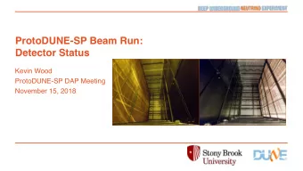 ProtoDUNE-SP Beam Run:  Detector Status  Kevin Wood  ProtoDUNE-SP DAP Meeting  November 15, 2018