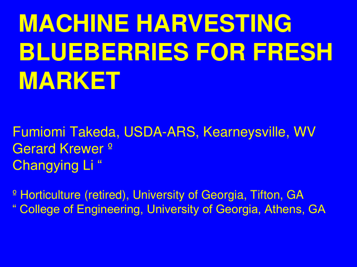 blueberries for fresh