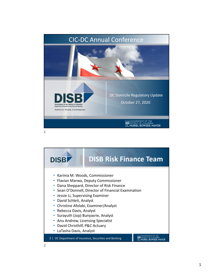 disb risk finance team
