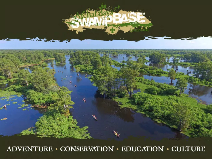 describe the swamp in one word misconceptions of the swamp