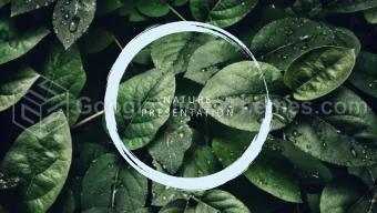 N AT U R E  P R E S E N TAT I O N  ABOUT  THE COMPANY  Y O U R  S M A L L  T I T L E  Y O U R  S M