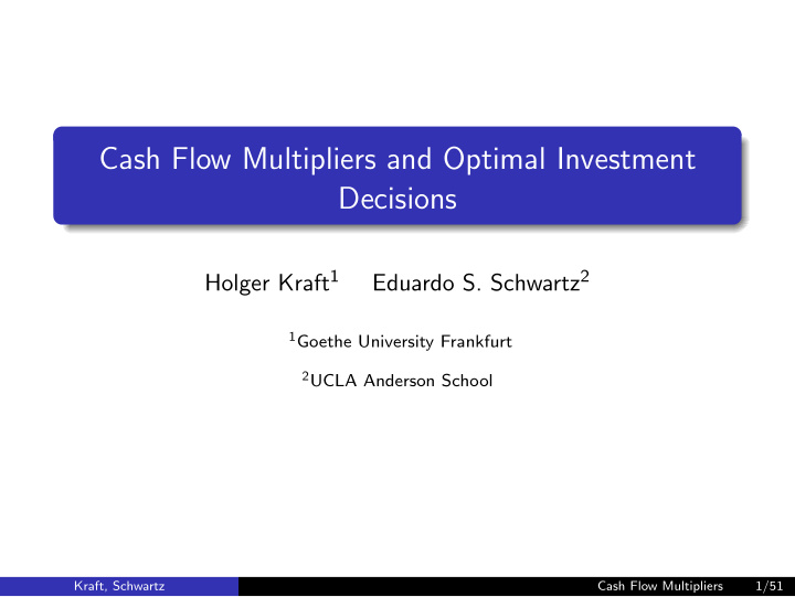 cash flow multipliers and optimal investment decisions