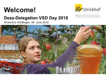 Welcome!  Deza-Delegation VSD Day 2018  Winterthur Wlflingen, 06. June 2018  Overview  -